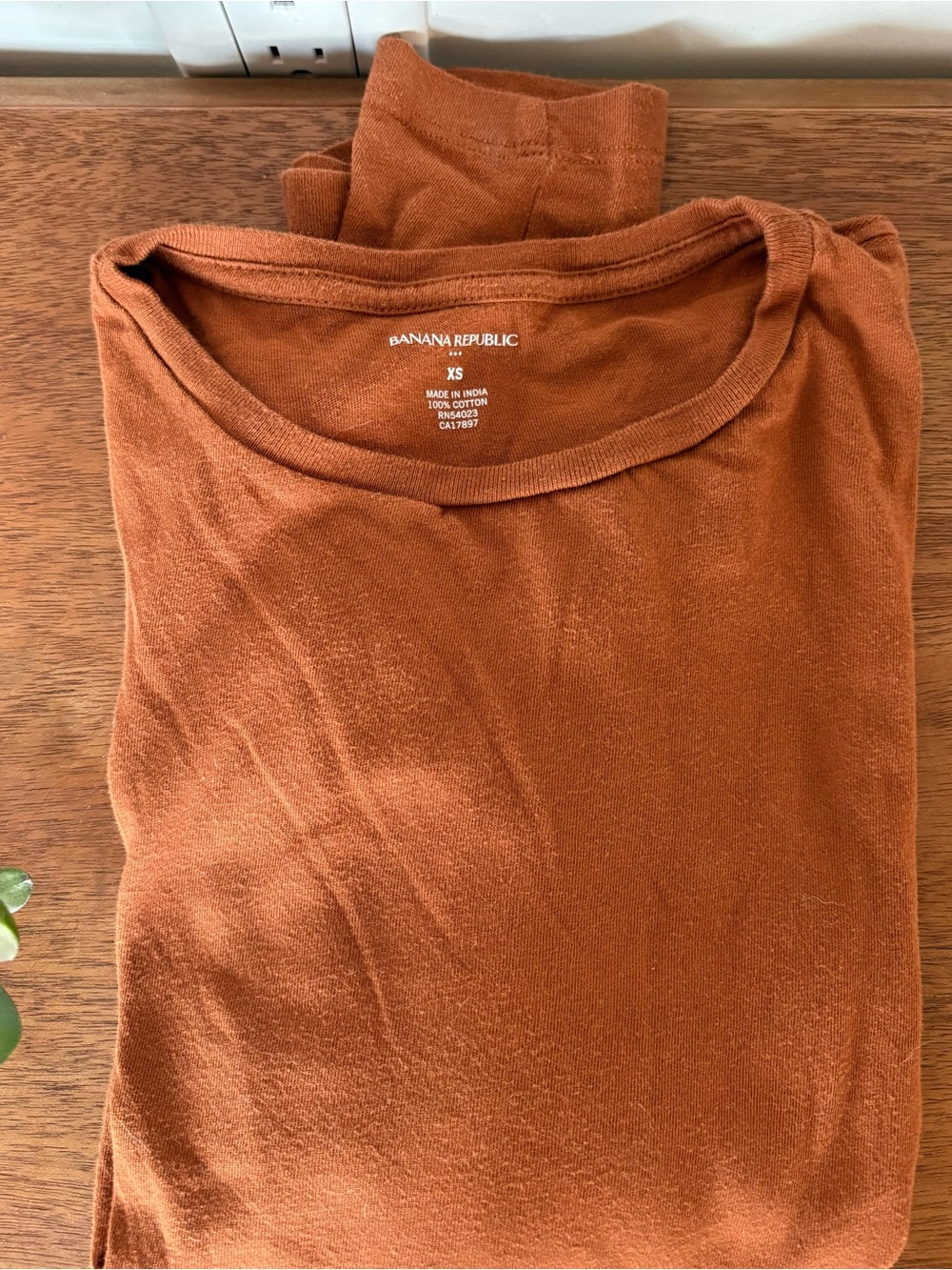 Banana Republic Burnt Orange Crewneck Tee